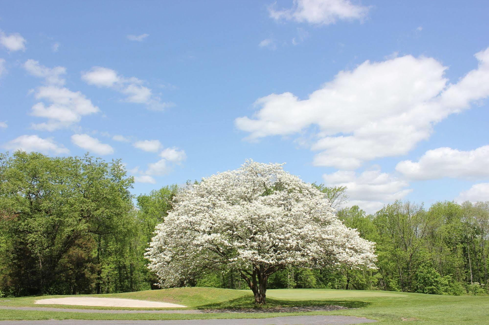 Water Gap Country Club And Resort East Stroudsburg